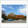 長野 紅葉の小諸城・懐古園を堪能してきました