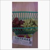 11月10日 最後の葡萄