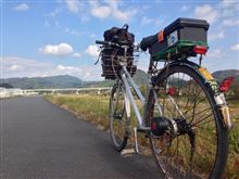 お部屋のお片づけ(=ﾟωﾟ)ﾉ