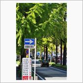 お勧めスポットを追加！【道の ...
