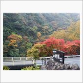 宇甘渓で紅葉狩りオフ