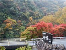 宇甘渓で紅葉狩りオフ