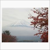 紅葉と富士山と・・・