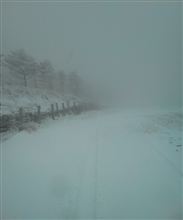 雪だより