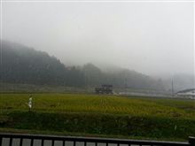 雪降ってきたよ(・・;)