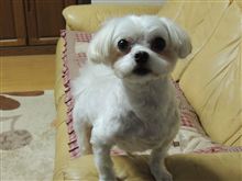 6歳になりました