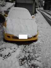 雪が降りました
