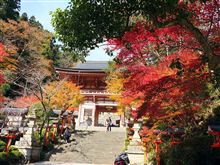 紅葉狩りパート2