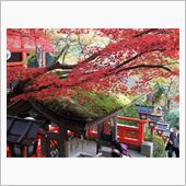 紅葉狩りパート3　鞍馬寺から ...