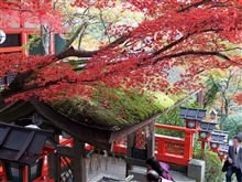 紅葉狩りパート3　鞍馬寺から貴船神社へ…