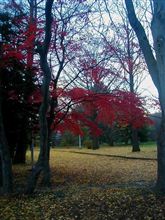 過ぎたるは・・・・・