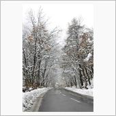 雪景色
