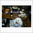BOUCHAFD AINE ＆　FILS　RougeFizz　NOUVEAU　２０１２本日解禁