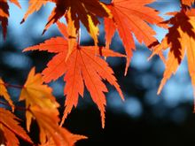時の重み