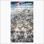あられの路面は雪よりもﾂﾗい ...