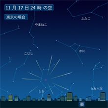 ☆ しし座流星群の極大は・・・ヾ(｡･ω･)ﾉ☆ﾟ 