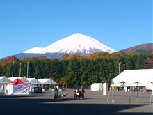 こんなに晴れてるのに