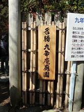心を癒しに・・・