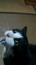 白黒つけようじゃねぇか。