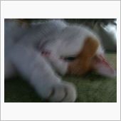 この目は危ないんです！（笑）