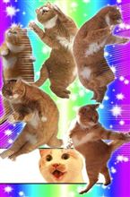 こ、こいつ 動くぞ…！