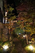 河鹿橋の紅葉を見に行ってきたよ。