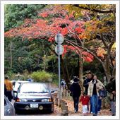 再度山でドラレコ確認～　帰路 ...