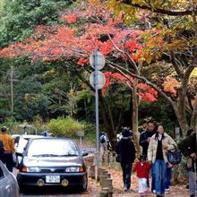 再度山でドラレコ確認~ 帰路、あの旧車を特定した 再度山でドラレコ確認~ 帰路、あの旧車を特定した