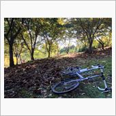 比企丘陵の秋サイクリング 3