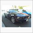 Mustang 5.0