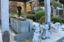 紅葉を見にもみじ寺へ