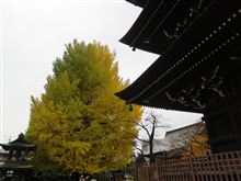 高山満喫の旅 