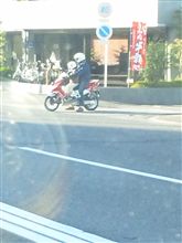 あれ? あれ?