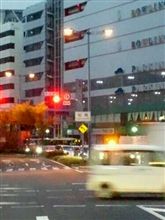 １１月２０日　ねむねむ曜日
