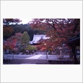 お魚と紅葉