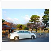 紅葉徘徊　短時間ですが2回目 ...
