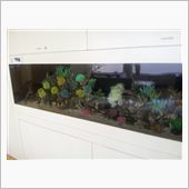 凛！！とそびえるように立つ缶