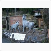 今週末、行こうとしているところ