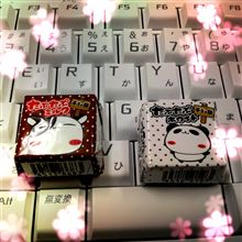 おやすみなさいﾐ☆
