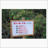 紅葉徘徊　2回目の続編デス!!