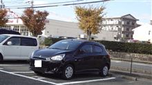 初めて見ました 初めて見ました