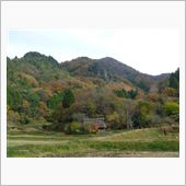 紅葉が見ごろです。