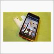 スマホケース、着弾・・・☆