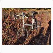 ヒメツルソバと自転車