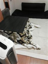 こたつを出した。