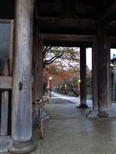 今日の朝ポタ