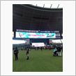 LIONS THANKS FESTA 2012 