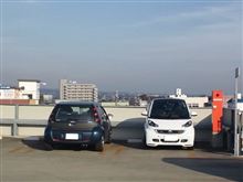 和ませてくれますね・・・・