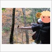 ふと&#215;、かねてより○思いたっ ...
