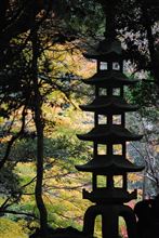 成田山公園の紅葉ｗ